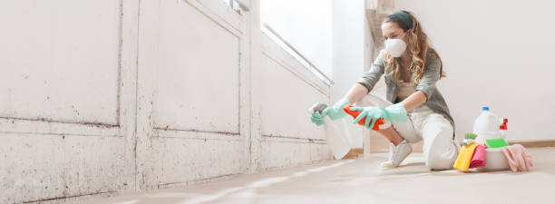 Best Emergency Mold Remediation  in North Potomac, MD